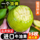 祁語(yǔ)進(jìn)口牛油果新鮮水果大果當(dāng)季應(yīng)季整箱一級(jí)鱷梨15個(gè) 8個(gè)超值裝 190-220g