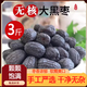 藝菱自營【官方店旗艦】黑棗無核一斤正宗河北涉縣野生特產(chǎn)特級大黑棗軟棗 黑棗無核1500g 東京營自 太行山無核黑棗吃即食軟棗一級小柿子烏棗京東自有品牌
