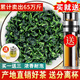 怡芯一品 新茶鐵觀音濃香型 烏龍茶葉 2025新茶春茶散裝袋裝共500g