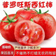 申果果【產(chǎn)地空運直郵】新疆普羅旺斯沙瓤潘茄西紅柿 吐魯番新鮮自然熟 新疆普魯旺斯番茄 5斤 家庭裝