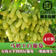 果益壽【順豐】懷來(lái)馬奶葡萄張家口宣化白馬奶提子玫瑰香葡萄美人指葡萄 【馬奶王】4斤 （順豐-送貨上門(mén)）