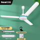 日彩（Ricai）吊扇/三頁吊式電風扇/家用宿舍臥室餐廳輕音鐵葉大風力工廠車間樓頂扇 56寸標準款