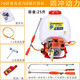 富士特汽油機動(dòng)高壓打藥機四沖程噴霧機背負式農用噴霧器藥水消毒噴灑器 139F動(dòng)力800A打藥機 容量50斤水