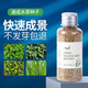 YEE魚(yú)缸水草種子魚(yú)缸造景對葉水草泥真水草懶人水草種籽牛毛水草植物 愛(ài)情草15g（適用種植面積:40×40cm）