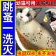 草之萃貓咪沐浴露殺菌除臭洗澡驅(qū)蟲止癢除螨驅(qū)蟲藥體內(nèi)外一體除跳蚤專用 500ml 1瓶 【效果好怕不夠用】