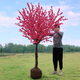紅梅花樹苗盆栽庭院地栽濃香梅花苗花卉植物臘梅室內(nèi)外耐寒綠植盆景 主桿4厘米粗.總高1.3-1.6米（拍下可備注品種 不含盆