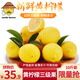 uncle lemon安岳黃檸檬四川特產(chǎn)新鮮水果多汁產(chǎn)地直供奶茶店榨汁切片 三級果9斤量販裝