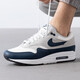耐克（NIKE）官方艦店男鞋夏季運動鞋AIR MAX復(fù)古休閑鞋氣墊鞋緩震透氣跑步鞋 FZ5808-103/AIR MAX/灰白藍 40