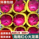譯優(yōu)農海南金都一號紅心火龍果蜜寶樹(shù)上熟新鮮現摘當季水果紅肉爆甜整箱 凈重4.5斤大果【商超品質(zhì)】