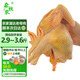森牧農(nóng)3年散養(yǎng)農(nóng)家老母雞生鮮柴雞肉農(nóng)村現(xiàn)殺走地雞黃油溜達土雞煲湯雞 5年以上（2.9~3.6斤）
