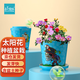 IAM City Farmer太陽花種子 兒童種植迷你盆栽綠植植物幼兒園觀察種植作業(yè)10019