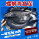 螺絲青魚(yú)苗黑皖魚(yú)大快型苗四大家魚(yú)苗養殖活體魚(yú)苗包活 7-9CM螺絲青 20條 2條防損
