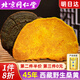 從容硬對(duì)同仁堂桑黃正宗西藏野生黃菌金邊整枝整朵干貨靈芝飲品泡酒藥材