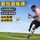 舒奈斯足球訓(xùn)練復(fù)位器兒童任意球復(fù)位器顛球訓(xùn)練器足球訓(xùn)練器材 2023升級(jí)款5號(hào)（贈(zèng)包+氣筒氣針）