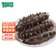 鮮出動(dòng)大連即食海參刺參深海遼刺參海參干貨13-17頭 凈重500g