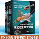 【全8冊】PNSO兒童恐龍百科全6冊+海洋博物館套裝4冊+翼龍博物館套裝2冊 少兒兒童科學(xué)科普海洋生物環(huán)保翼龍稱(chēng)霸史前時(shí)代課外閱讀書(shū)籍 外社果麥 PNSO海洋博物館套裝全4冊