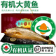 太湖?！居袡C無(wú)抗大黃魚(yú)】鮮活黃花魚(yú)冰鮮冷凍深海水產(chǎn)野化魚(yú)類(lèi)中秋禮盒 現捕-禮盒裝（1.4-1.6斤/條）