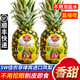 良知農哥 【順豐】新鮮鳳梨  佳農sw菲律賓進(jìn)口鳳梨 2個(gè)大果裝 單果約1000g+