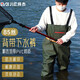 拜杰（BJ）下水褲半身全身雨褲連體背帶男女防水魚(yú)漁褲抓魚(yú)撈魚(yú)服加厚涉水褲 加厚85絲綠色（送贈品大禮包） 39