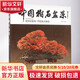中國樹(shù)石盆景 中國林業(yè)出版社 張志剛 編著(zhù) 書(shū)籍