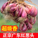 正宗廣東紅蔥頭商用5斤裝 干蔥頭調味熬蔥油香料農家新鮮火蔥種子 1斤特香紅蔥頭