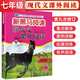 新黑馬閱讀 語(yǔ)文七年級現代文課外閱讀 閱讀理解七年級語(yǔ)文現代文課外閱讀訓練