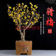 語(yǔ)安四季開(kāi)花梅花盆栽樹(shù)苗紅梅盆景樹(shù)樁耐寒室內室外植物花卉帶花盆栽 8年臘梅盆景（當年開(kāi)花）