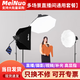 美諾 DP-300/400W直播燈補光燈專業(yè)直播間燈光主播美顏燈柔光燈服裝直播打光燈球形雙色溫太陽燈  三燈套裝【頂燈多場景直播間通用】  DP-300W