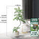 羅曼媽媽藍花楹仿真植物高端輕奢盆栽仿生假植物室內(nèi)客廳奶油風裝飾擺件 藍花楹加寬加密160cm送燕麥白