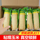 問(wèn)君 甜糯黑玉米棒真空包裝黏糯玉米粒220g/根減餐低脂代餐 【軟糯香甜】白糯玉米220g*6根