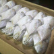 安峰山銀鯧魚5斤鮮活冷凍白鯧魚海鮮水產(chǎn)鯧魚昌魚平魚新鮮海魚 小號3斤經(jīng)濟款（10-12條/斤）