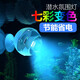 金利佳（Jeneca）潛水小射燈魚缸燈節(jié)能高亮燈led燈七彩防水超亮裝飾燈小型水中燈 高亮節(jié)能潛水射燈（七彩輪播）