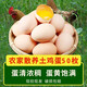 谷物歡欣 林間散養土雞蛋 新鮮雞蛋 農家散養柴雞蛋綠殼蛋 適合孕婦寶寶 50枚