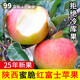 【陜西長(cháng)武蘋(píng)果】產(chǎn)地直供紅富士秦脆蜜脆瑞陽(yáng)瑞雪新鮮高海拔蘋(píng)果 蜜脆 10斤裝（凈重9.5斤  普通彩箱裝）