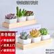 兩腿跑【送貨上門】三八節(jié)多肉植物帶盆桌面盆栽組合綠植花卉幼兒園盆栽 簡約6盆(帶盆栽好)