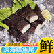 鴉片魚(yú)尾新鮮特大魚(yú)尾巴燒烤商用尾巴碟魚(yú)蝶魚(yú)大尾深海鰈魚(yú)魚(yú)尾 3斤裝