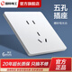 國際電工（TEP）墻壁開(kāi)關(guān)插座面板家用超薄啞光86型白色一開(kāi)五孔空調多孔磨砂大板 五孔(補貼價(jià)第一個(gè)虧本看） 插座