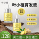 綠索葉小植防脫發(fā)育發(fā)液姜約滋養頭皮柔潤呵護發(fā)絲 五盒裝【重度適用】
