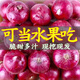 京營(yíng)現挖紫皮洋蔥新鮮水果洋蔥圓蔥蔬菜紅皮特產(chǎn)農家小洋蔥當季農產(chǎn)品 5斤 家庭裝