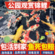 招財如意觀賞魚錦鯉大魚特大號耐活好養(yǎng)金魚冷水淡水風水魚招財大正紅白 七星高照（隨機顏色7條可指定） 23-25cm