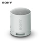索尼（SONY）SRS-XB100 藍牙音箱音響 迷你便攜 重低音16小時續航 戶外音箱 防水防塵 灰色 禮物