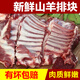 草原羔羊排塊羊小排羊肉冷凍羊排新疆羊排 4斤(羊排塊)