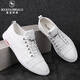 洛克華菲（Rock Fairwhale）男鞋運動(dòng)休閑鞋透氣舒適小白鞋子男防滑耐磨滑板鞋英倫松緊帶白色 白色 41