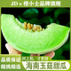 橙小士海南玉菇甜瓜 香甜軟糯冰淇淋甜瓜奶香蜜水果年貨禮盒整箱 5斤【品質(zhì)精選】2-3個(gè)