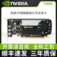英偉達(dá)T400 2G盒裝4G麗臺(tái)平面美工設(shè)計(jì)多屏炒股繪圖建模專(zhuān)業(yè)圖形顯卡 T400 【工業(yè)包裝】 4GB