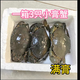 全母3只1.2斤】嘗鮮價(jià)海捕小膏蟹紅鱘鮮活母蟹青蟹野生紅膏蟹海蟹 3只共1.2斤，單只0.4斤左右一只 青色