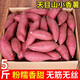 采緹（CAITI）海南天目山小香薯5斤小番薯新鮮紅薯正宗地瓜山芋黃心農(nóng)產(chǎn)品現(xiàn)挖 5斤 精選中果