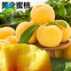 果樹(shù)苗 嫁接苗桃樹(shù)苗 黃金蜜桃 2年苗