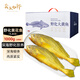 賣魚七郎寧德野化黃花魚禮盒2斤2條 冷凍大黃魚海鮮年貨禮盒源頭直發(fā) 