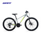 捷安特（GIANT）XTC 24-D 1鋁合金24寸24速油碟青少年山地自行車 淺鐵灰 24×12 建議130-150cm